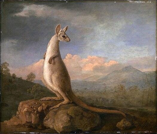painting of a kangaroo painting of a kangaroo
