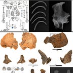 Anthropology.net