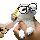 Timestamps for major series are now on the website