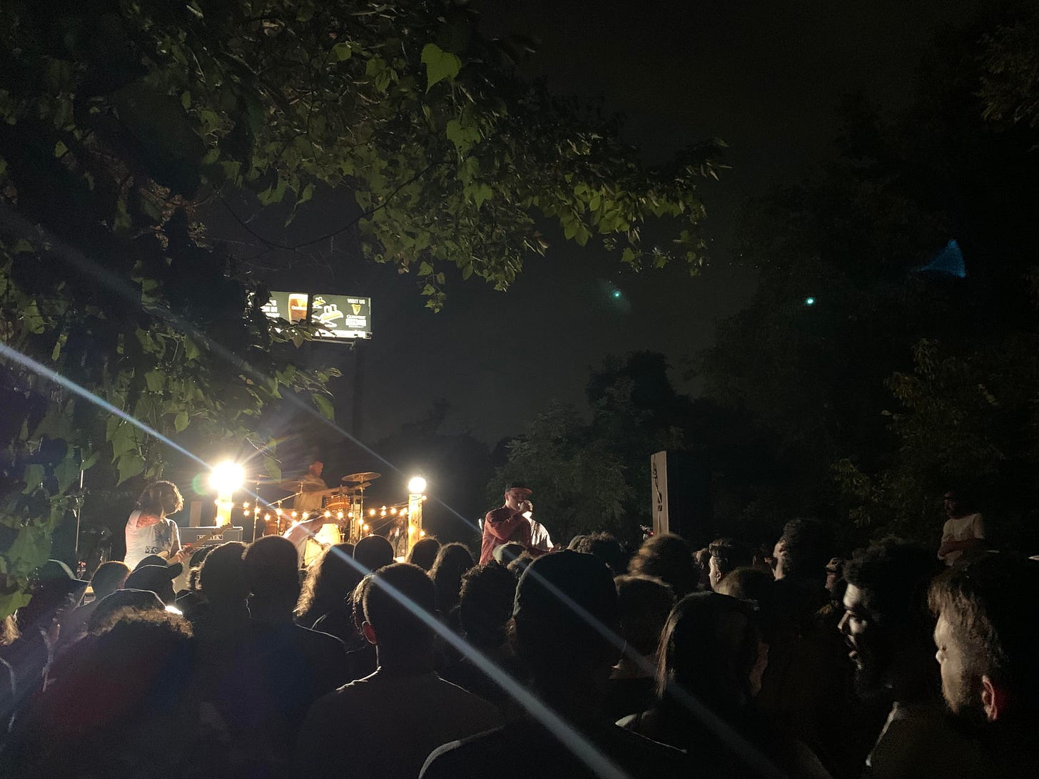 Fiddlehead at Zika Farm