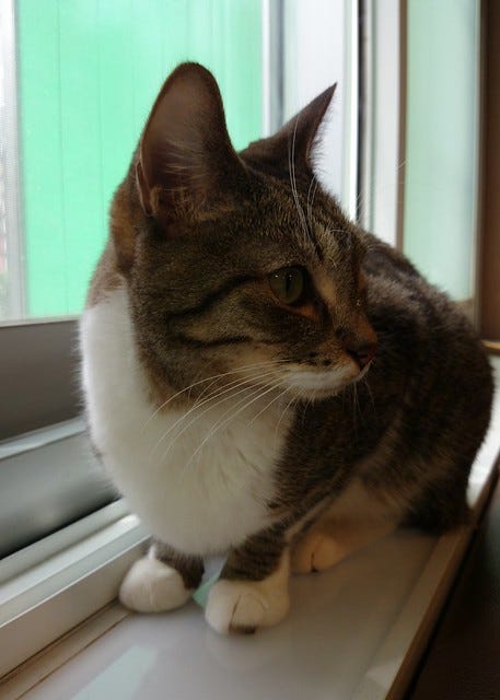 DSC_0456 DSC_0456