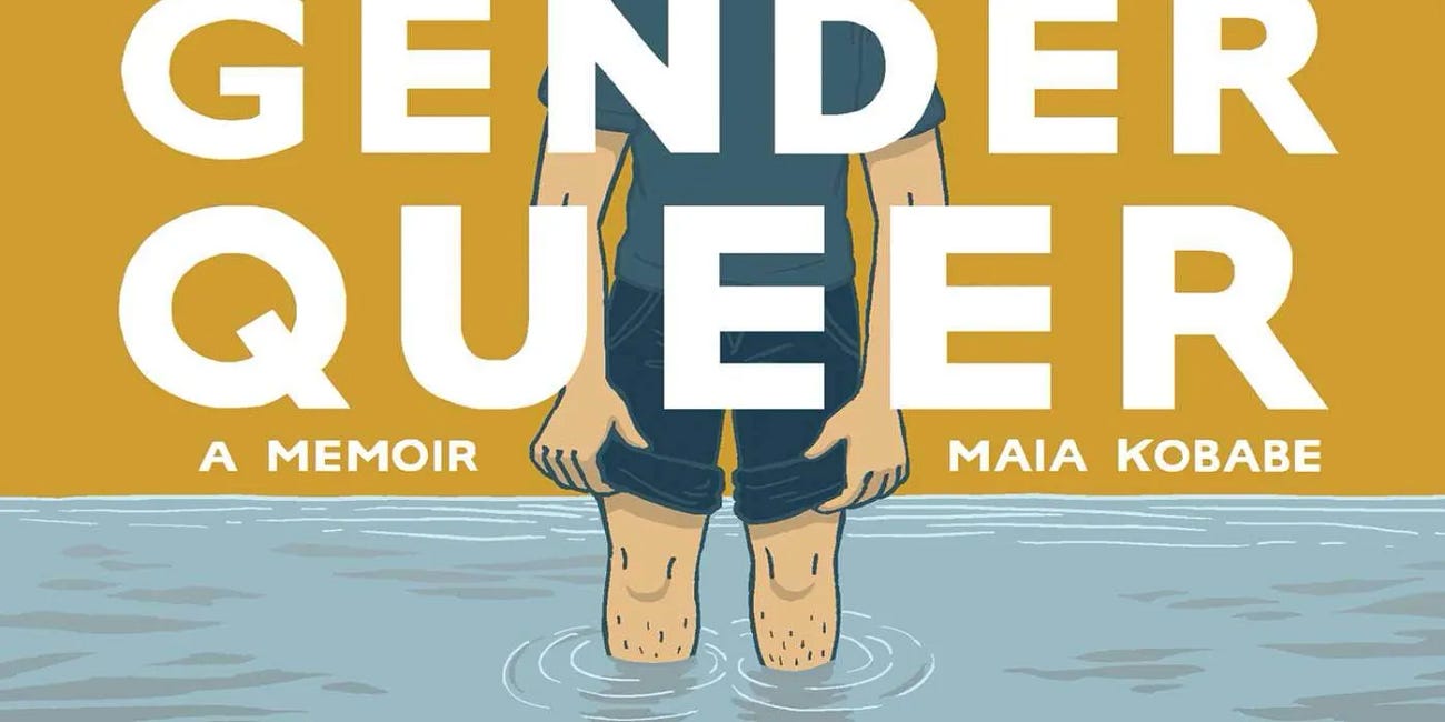 Federal Judge Strikes Down Arkansas Law That Prevents Pornographic Books Like Gender Queer From Getting Into School Libraries