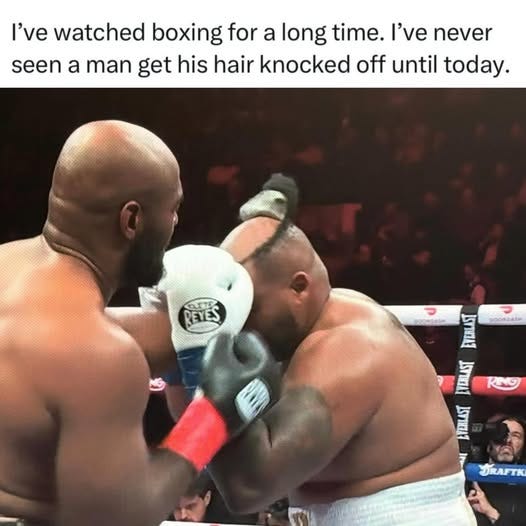 May be an image of text that says 'I've watched boxing for a long time. I've never seen a man get his hair knocked off until today. 包王 REYES 2080046m EVERLAST EVERLAST KING EVERLAST DRAFTK'