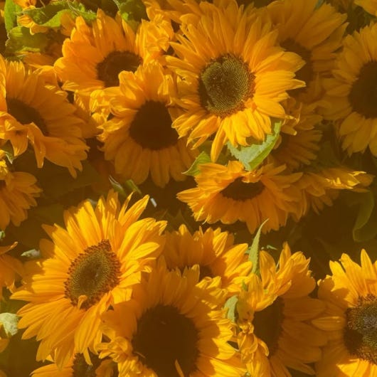 Artwork for Shreeartha Sharma