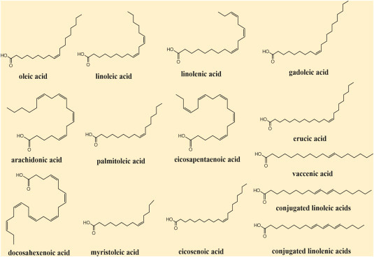 Polyunsaturated Fatty Acid - an overview | ScienceDirect Topics Polyunsaturated Fatty Acid - an overview | ScienceDirect Topics