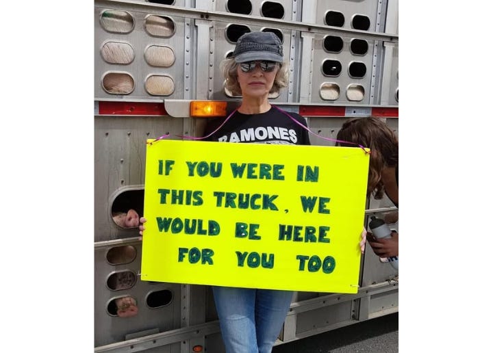 On June 19, 2020, 65-year-old activist Regan Russell was run over and killed by a livestock truck outside Fearman’s Pork slaughterhouse in Ontario. She was protesting animal cruelty. The driver was later convicted of careless driving causing death. Her fight for justice continues. 🌱 On June 19, 2020, 65-year-old activist Regan Russell was run over and killed by a livestock truck outside Fearman’s Pork slaughterhouse in Ontario. She was protesting animal cruelty. The driver was later convicted of careless driving causing death. Her fight for justice continues. 🌱