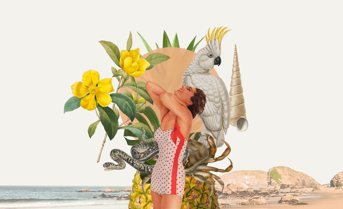 A collage inspired by the content in this memo.