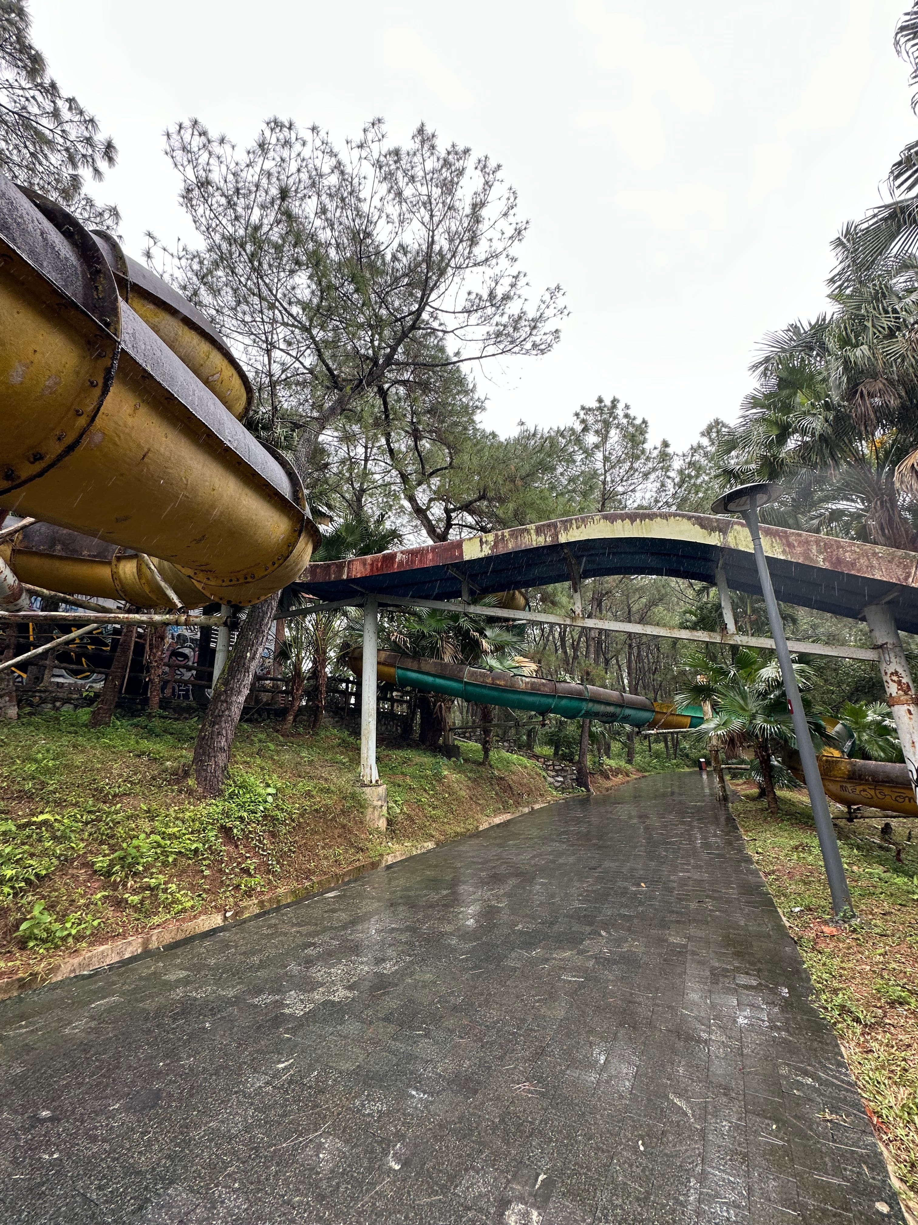 Dragons and Lanterns - by Lila Swartz - Lila’s Substack