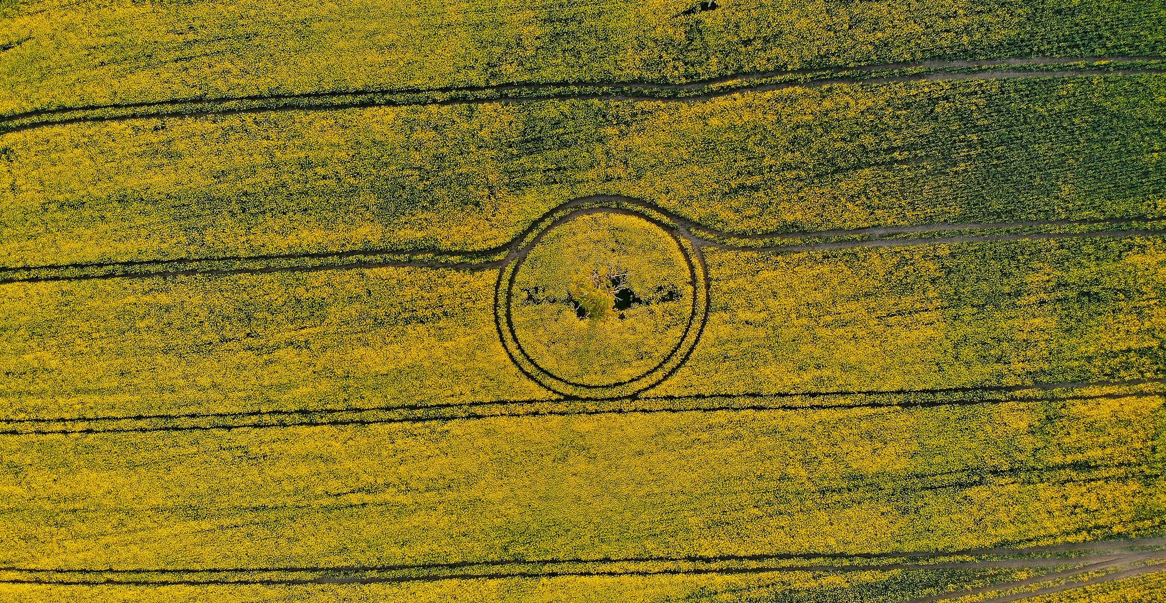an aerial view of a field with a circle in the middle an aerial view of a field with a circle in the middle