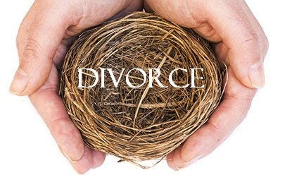 Hands holding a nest of birds

AI-generated content may be incorrect.