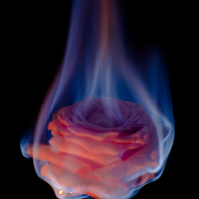 Artwork for Saint Hildegard's Garden