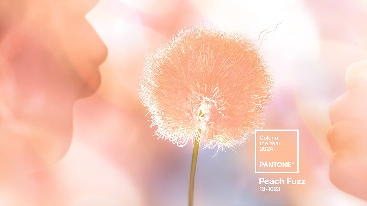 Peach Fuzz named as Pantone Colour of the Year 2024