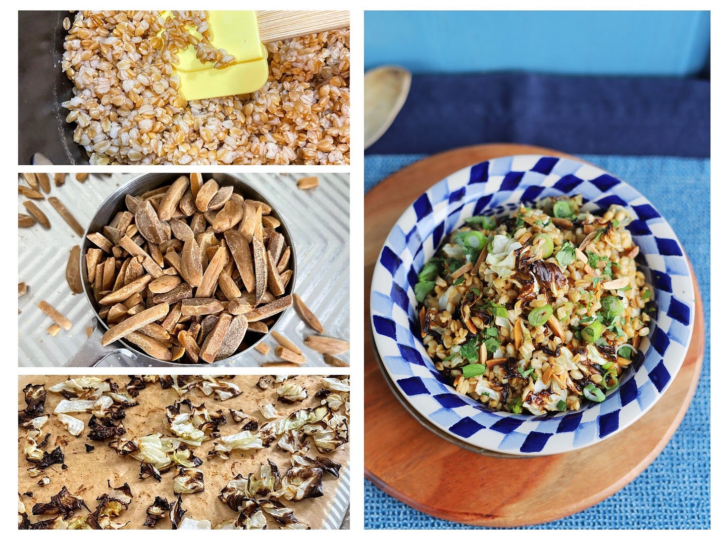 Wheat Berry, Roasted Cabbage, and Toasted Almond Salad with Ginger-Soy-Lemon Dressing, Cook the Vineyard Wheat Berry, Roasted Cabbage, and Toasted Almond Salad with Ginger-Soy-Lemon Dressing, Cook the Vineyard