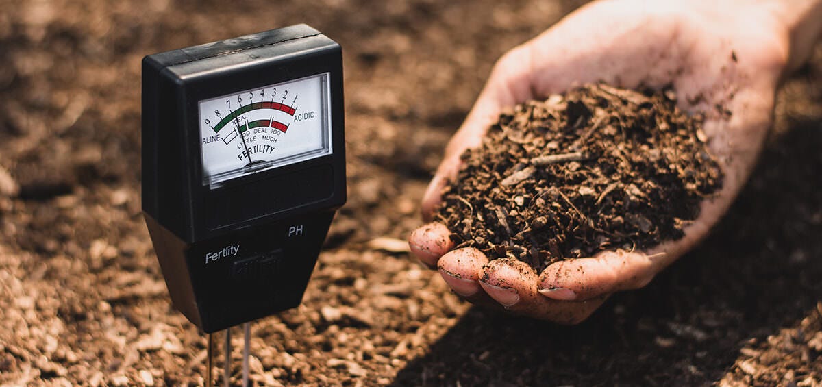 The Importance of Soil Analysis: How To Guide - AGRIVI The Importance of Soil Analysis: How To Guide - AGRIVI