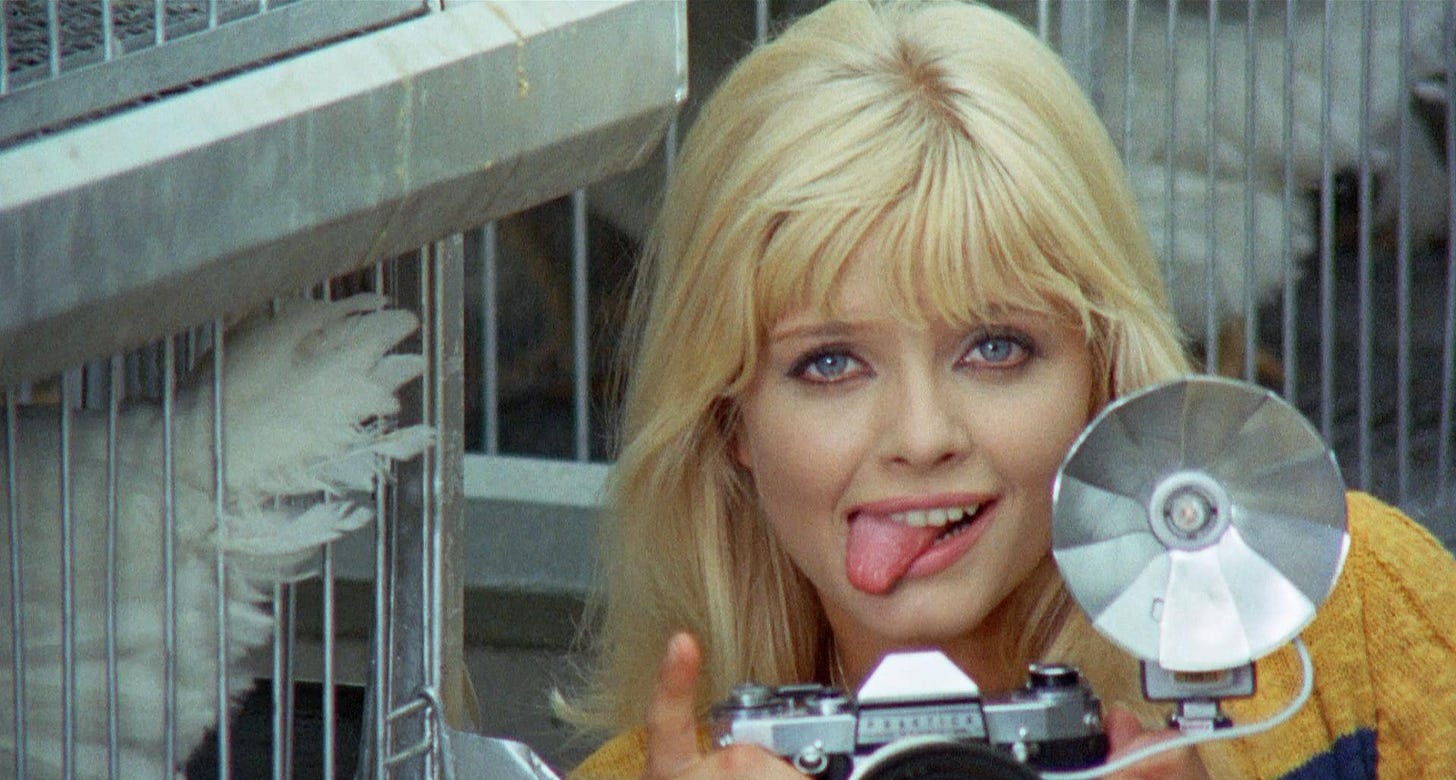 especial giallo genero cinematografico death laid an egg 1968 giulio quest