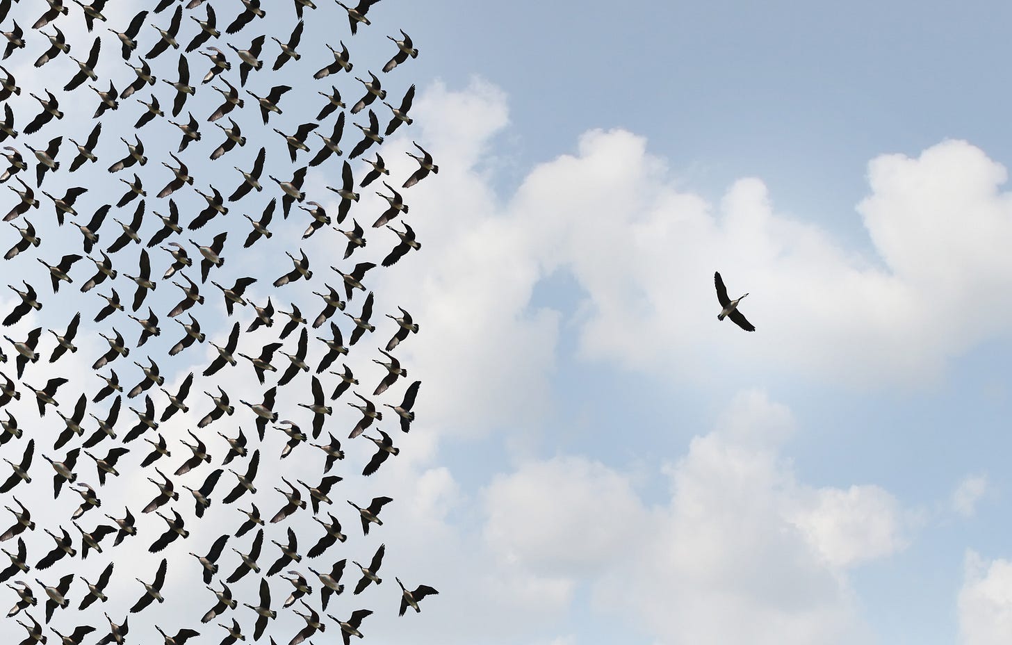 Director Independence and the Governance Process | Business Law ... Director Independence and the Governance Process | Business Law ...