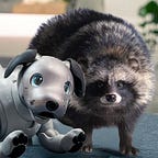 Japan Wildlife