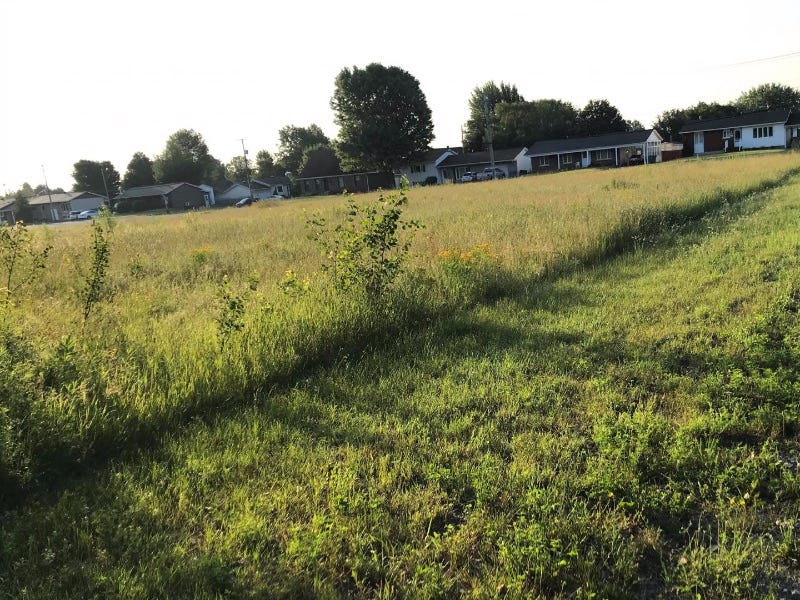 Image of different lawns. Image of different lawns.