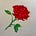 The Red Rose's avatar