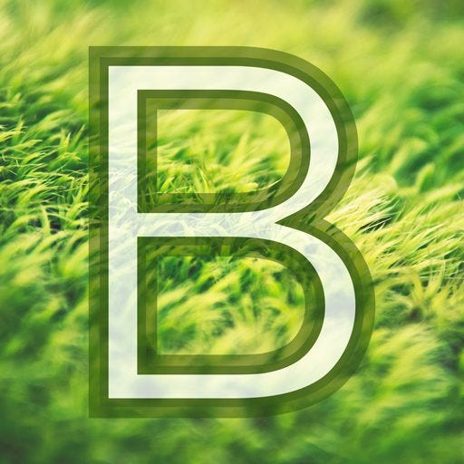 Roaming in Bayesland