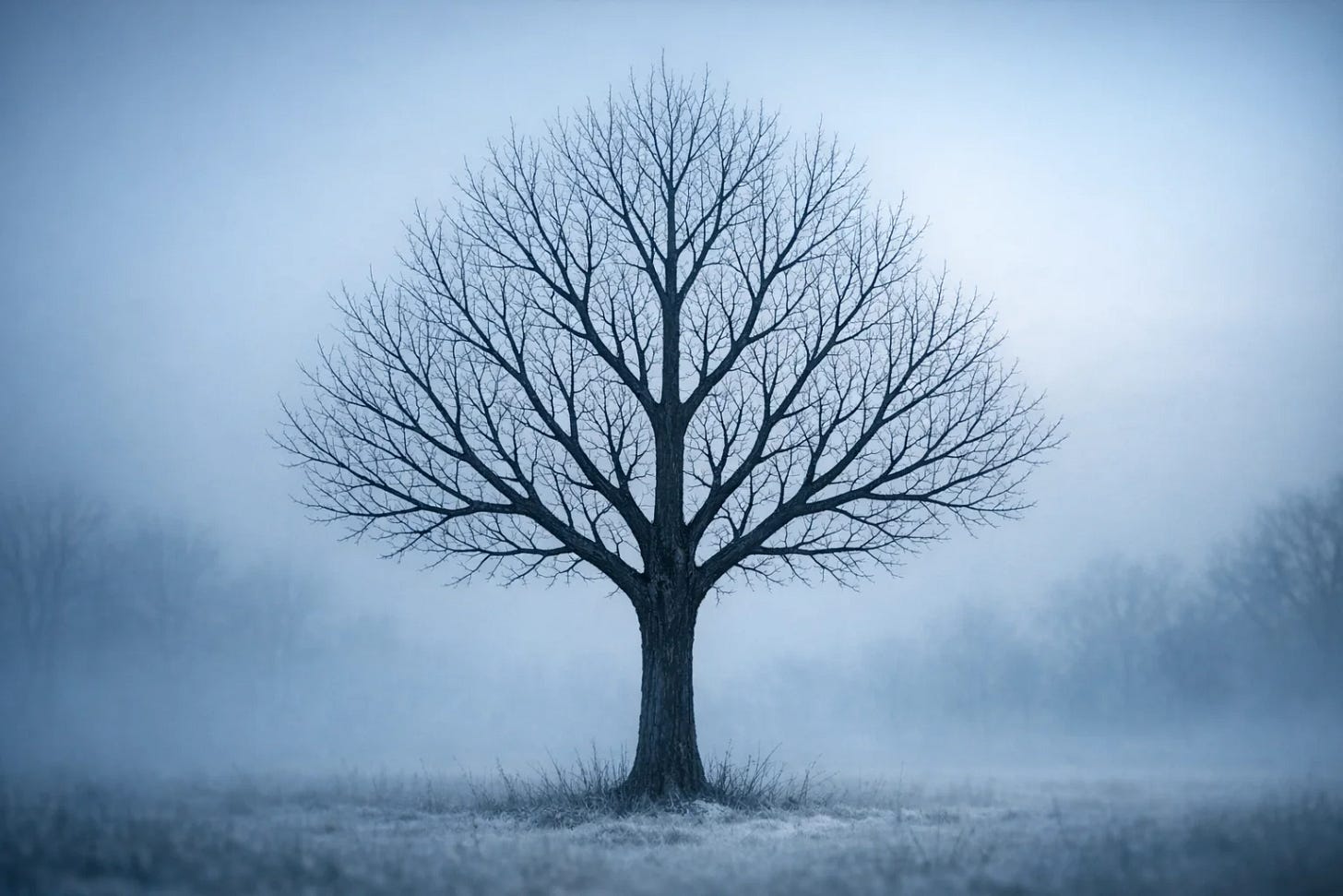 Expression Trees as a Reflection Alternative in C#: When to Switch Expression Trees as a Reflection Alternative in C#: When to Switch