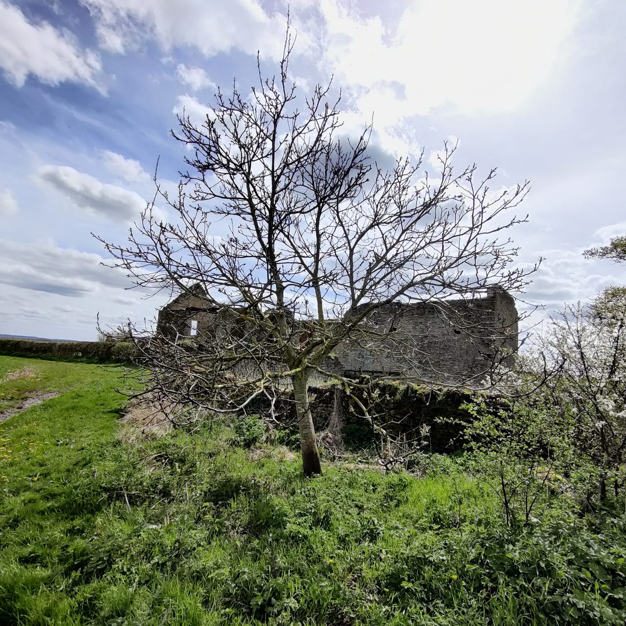 The Guild of Master Procrastinators