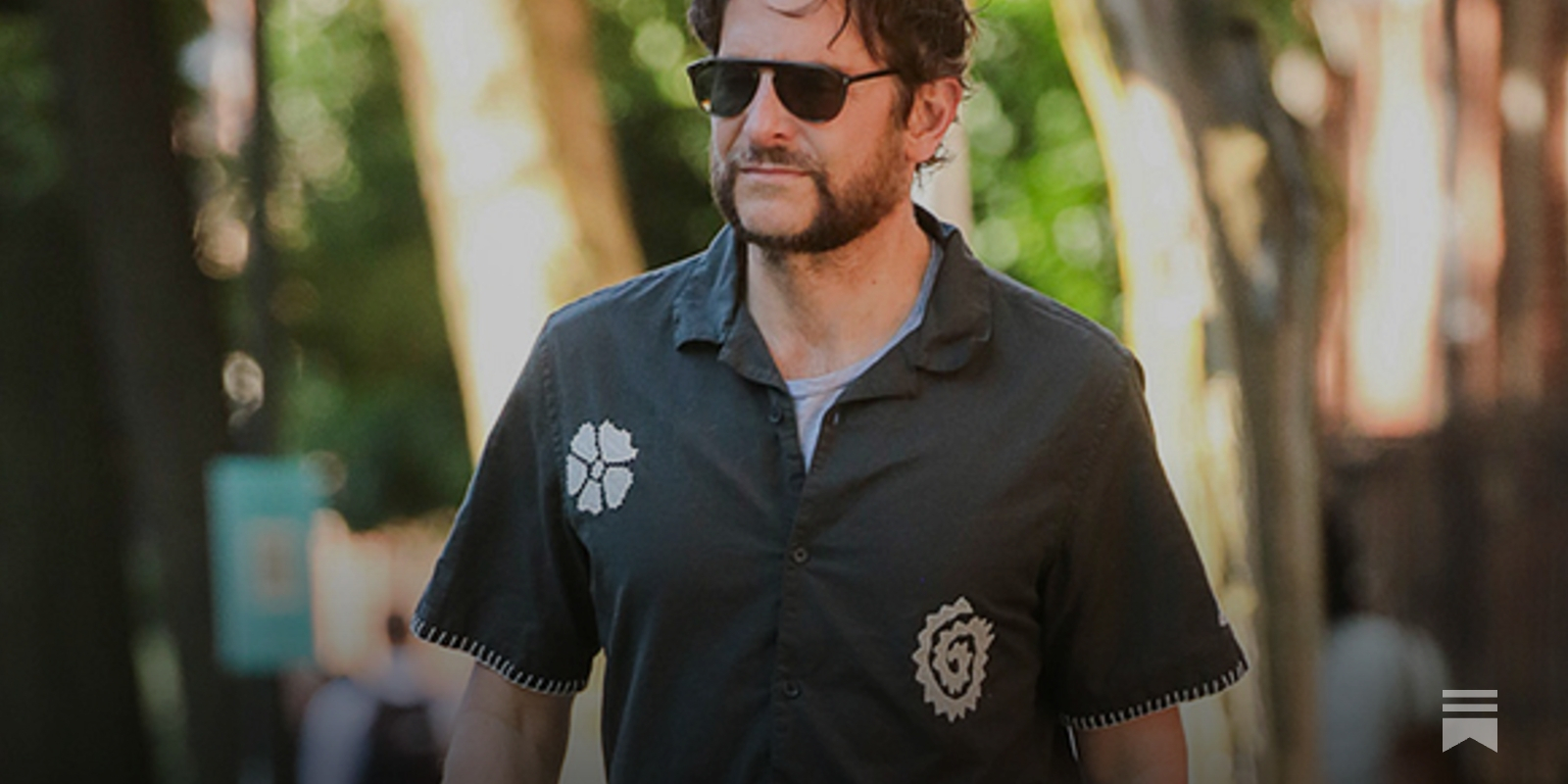 Well, Well, Well, What Do We Have Here? (Bradley Cooper's Beard), image size:1600x800