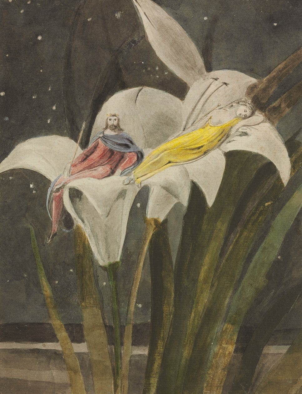 Oberon and Titania on a Lily, c.1795 by William Blake