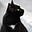 The Jesuit Cat's avatar