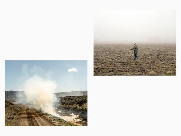 Bliss-Website-Sequence11.jpg