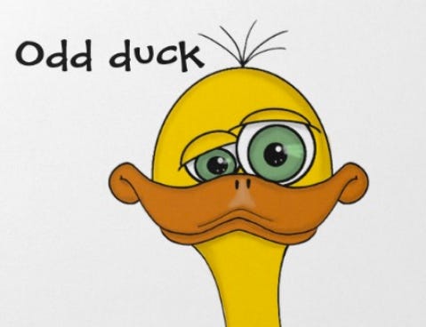 Odd Duck or Rare Breed? — Auspice