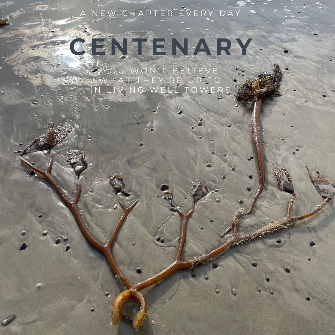 Centenary: 100-Word Stories from Living Well Towers