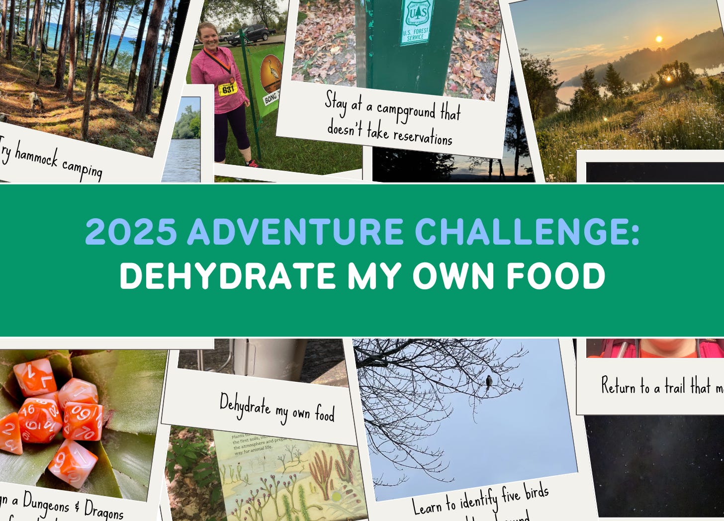 2025 Adventure Challenge: Dehydrate My Own Food