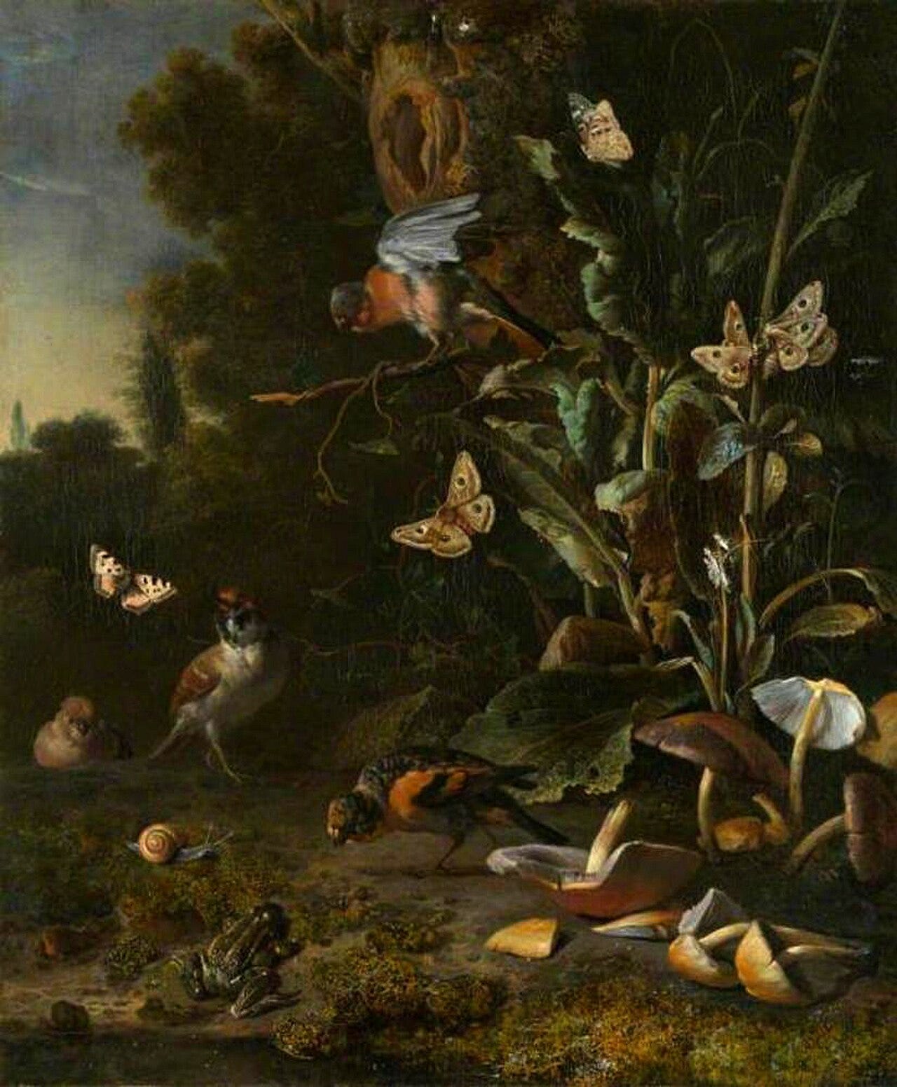 Melchior d'Hondecoeter, small birds bristling on the branches above a frog among plants, mushrooms and butterflies Melchior d'Hondecoeter, small birds bristling on the branches above a frog among plants, mushrooms and butterflies