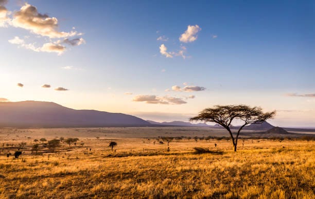 3,963,600+ Africa Stock Photos, Pictures & Royalty-Free ...