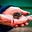 julieannmacken@gmail.com's avatar