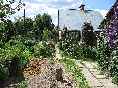 Dacha garden