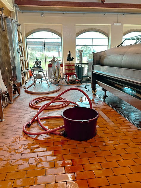Fontefico Winery