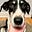 Shari Eason Ludlam's avatar