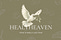 Healtheaven Newsletter 🍸💕