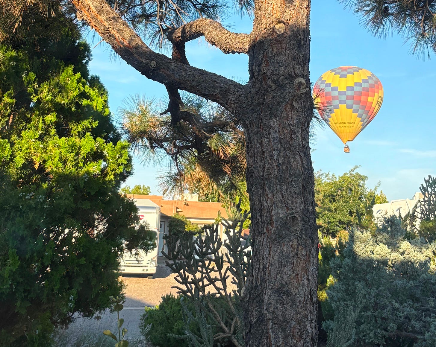 Hot air balloon floating in the sky in our front yard