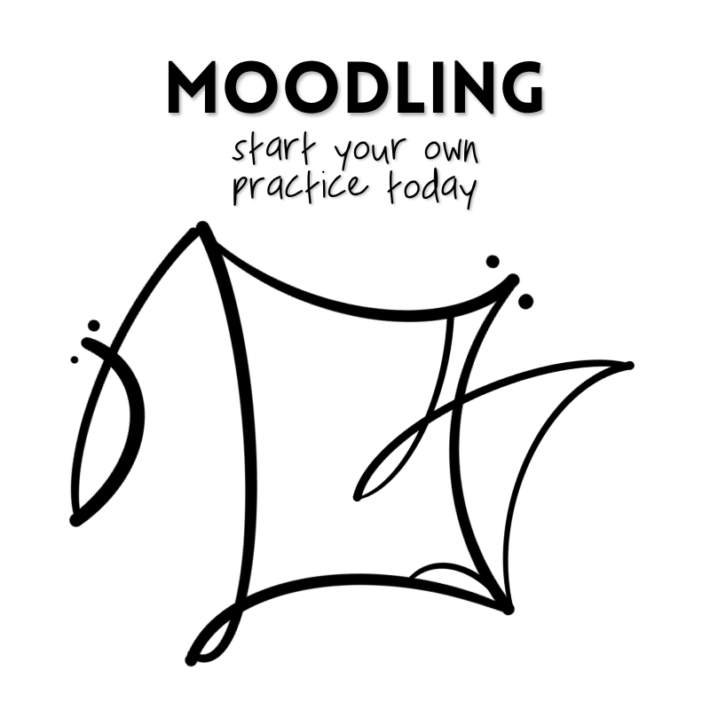 Take a Moodle with Me logo