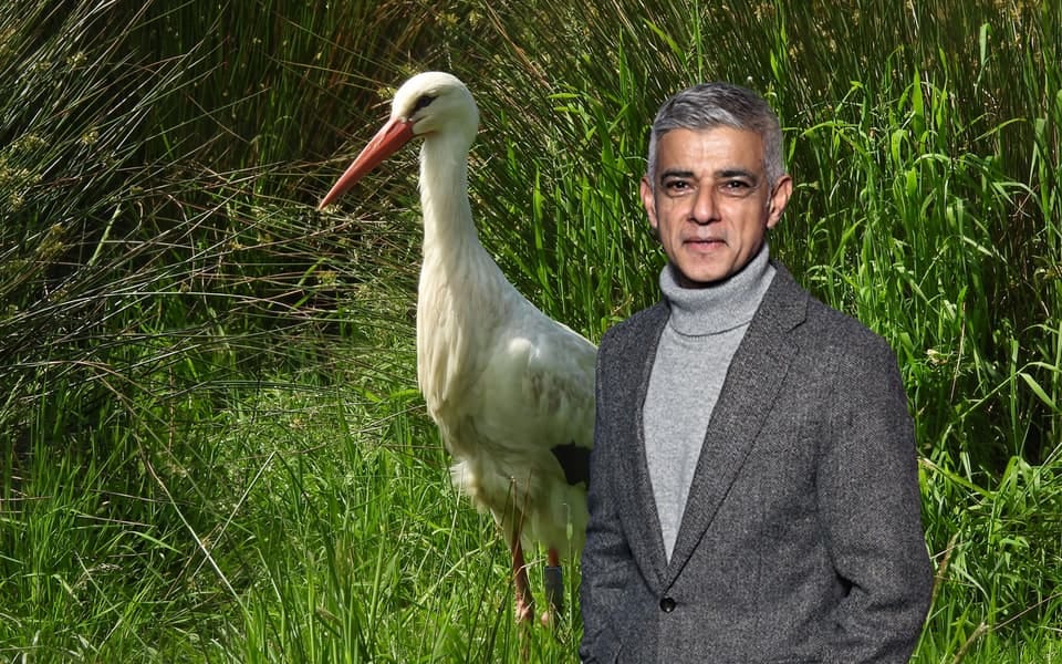 Sadiq Khan's City Hall is funding a rewilding programme in London Sadiq Khan's City Hall is funding a rewilding programme in London