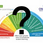 Visible Learning, hidden error