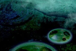 Pathogen