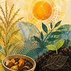 Green Wednesday: School Food Waste Reduction and Backyard Corn Lessons