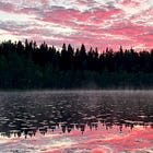 What Happens on the Bog at Night?