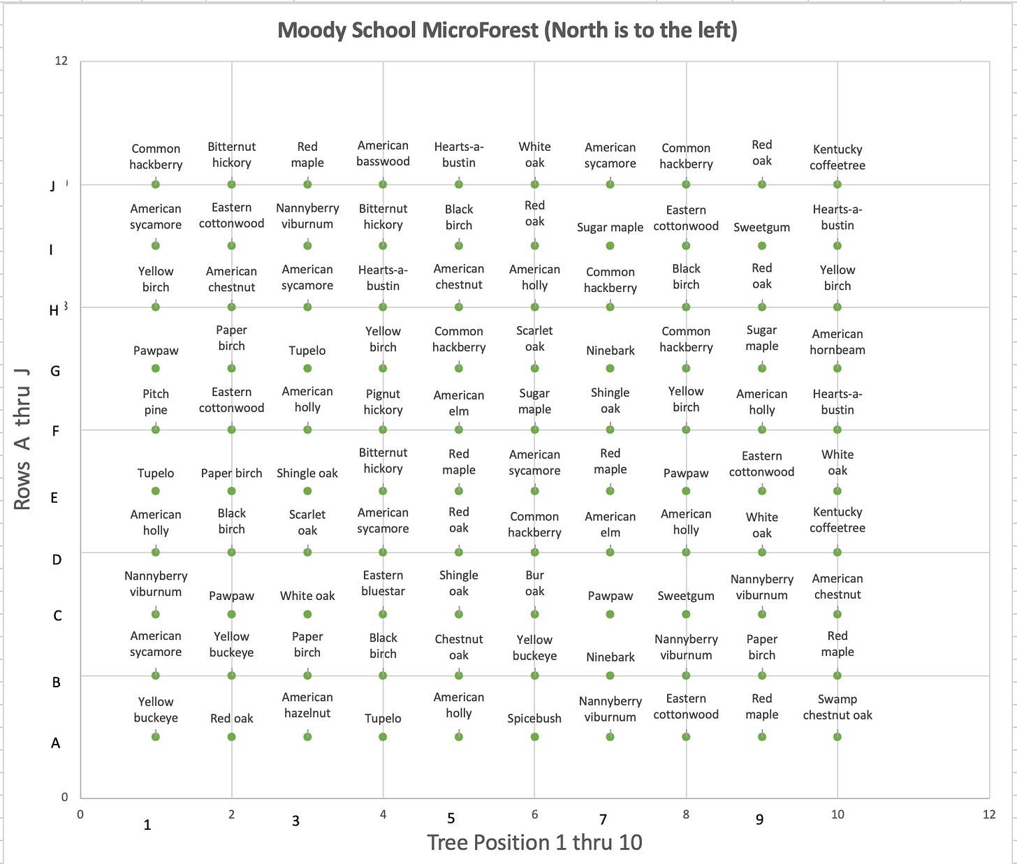 The layout of the 50’ x 50’ Microforest.