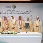 Saudi's $8.3 Billion Bet on the Green Economy