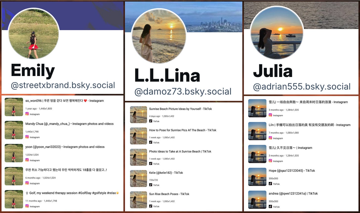 profile images of three of the spam accounts, and reverse image searches showing that the images are plagiarized profile images of three of the spam accounts, and reverse image searches showing that the images are plagiarized